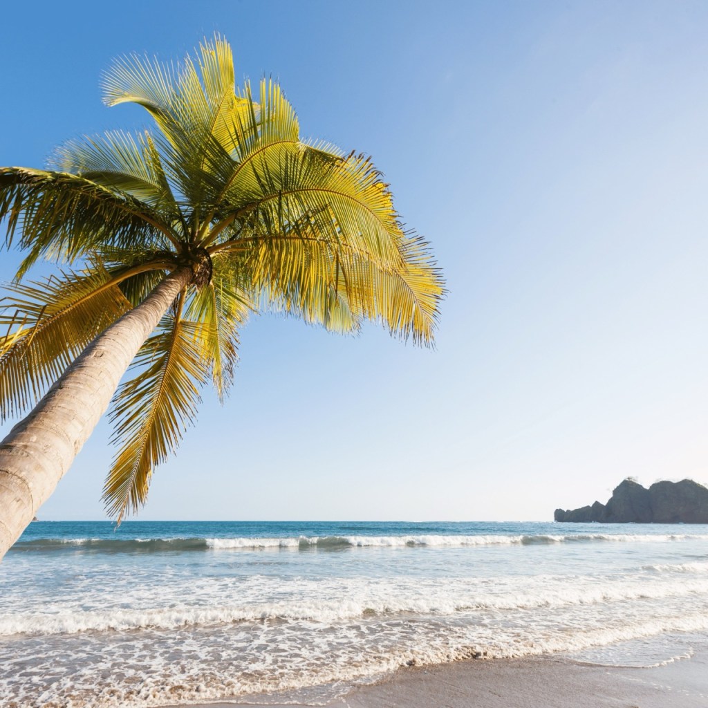 Learn To surf in Tamarindo, Costa Rica