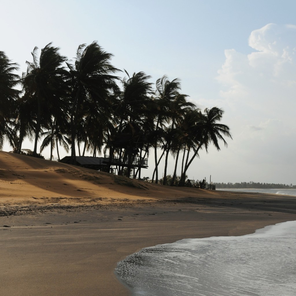 Arugam Bay