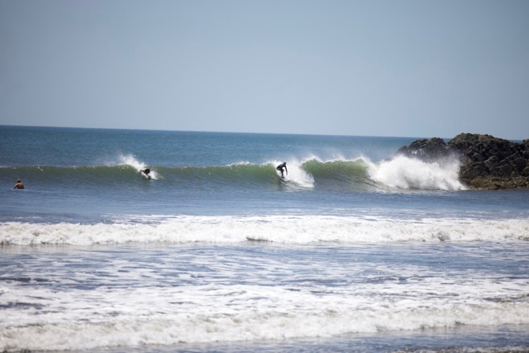 Surfing Rule Drop in